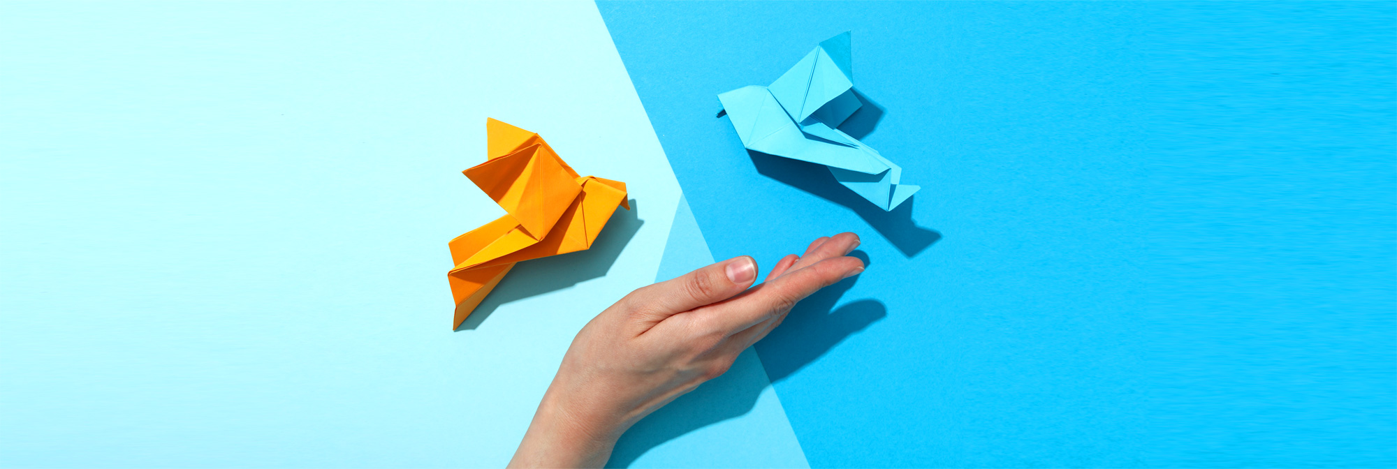 Image hover effect image